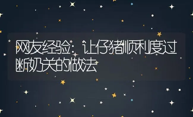 网友经验：让仔猪顺利度过断奶关的做法 | 动物养殖学堂