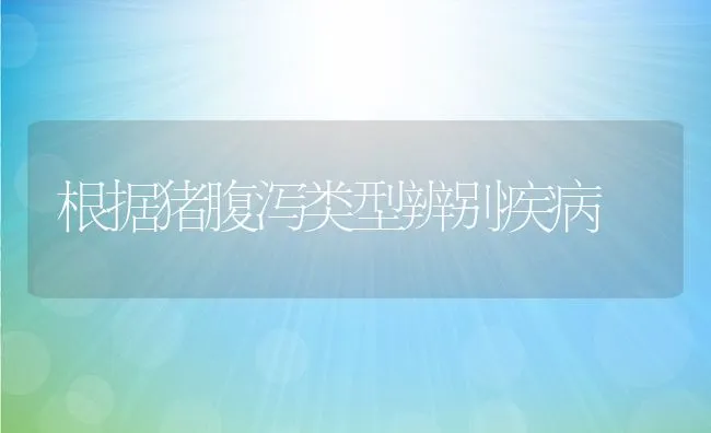 根据猪腹泻类型辨别疾病 | 动物养殖学堂