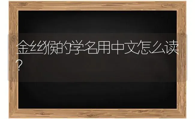 金丝猴的学名用中文怎么读？ | 动物养殖问答