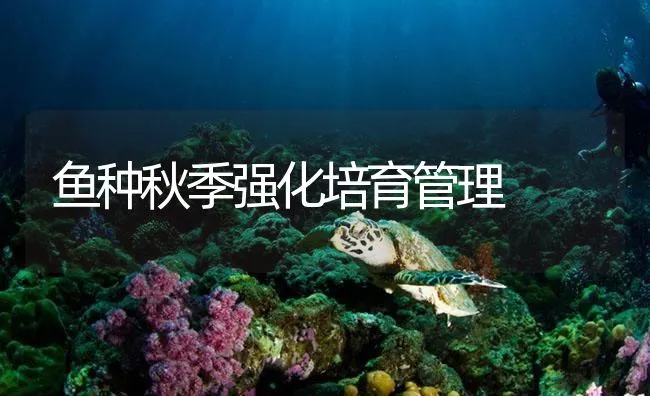 鱼种秋季强化培育管理 | 海水养殖技术