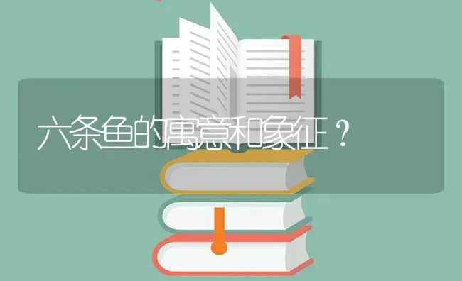 六条鱼的寓意和象征？ | 鱼类宠物饲养