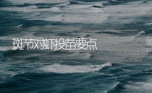 斑节对虾投苗要点 | 海水养殖技术