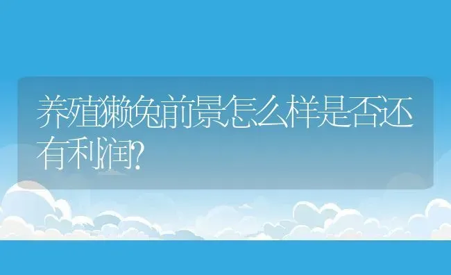 养殖獭兔前景怎么样是否还有利润？ | 动物养殖百科