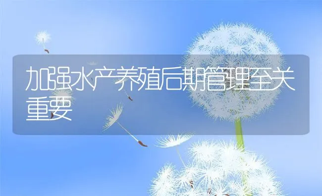 加强水产养殖后期管理至关重要 | 动物养殖饲料