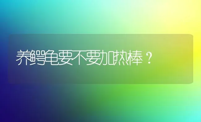 公猫好听的名字很乖又爱睡觉？ | 动物养殖问答