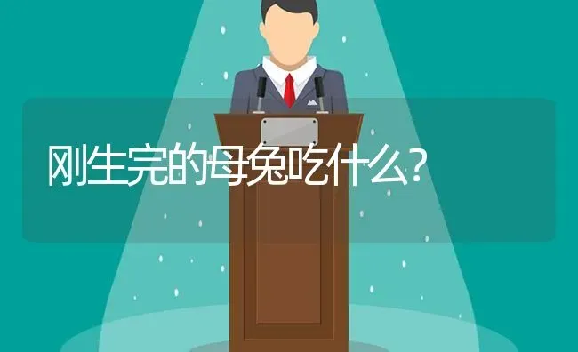 刚生完的母兔吃什么？ | 动物养殖问答