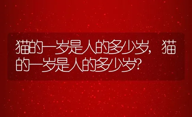 猫的一岁是人的多少岁,猫的一岁是人的多少岁? | 宠物百科知识