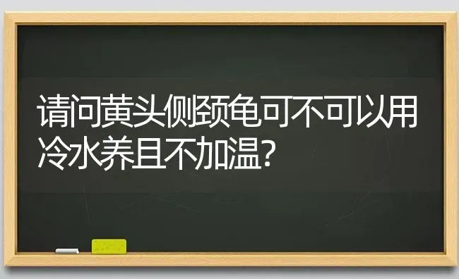 请问黄头侧颈龟可不可以用冷水养且不加温？ | 动物养殖问答