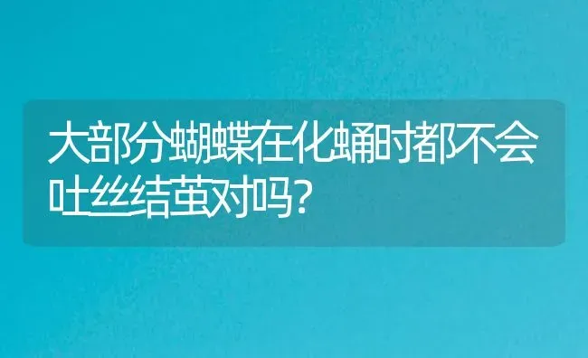 大部分蝴蝶在化蛹时都不会吐丝结茧对吗？ | 鱼类宠物饲养