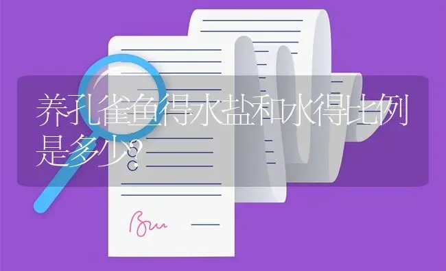 养孔雀鱼得水盐和水得比例是多少？ | 鱼类宠物饲养