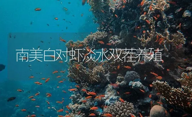 南美白对虾淡水双茬养殖 | 海水养殖技术