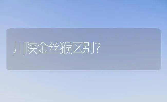 小鹿犬有没有灰色的？ | 动物养殖问答