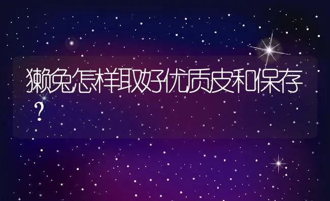 獭兔怎样取好优质皮和保存？ | 动物养殖学堂