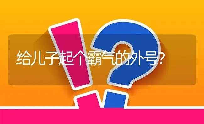 给儿子起个霸气的外号？ | 动物养殖问答