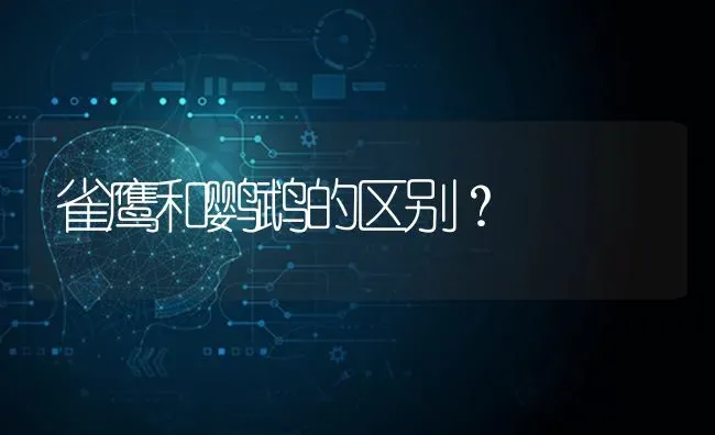 雀鹰和鹦鹉的区别？ | 动物养殖问答