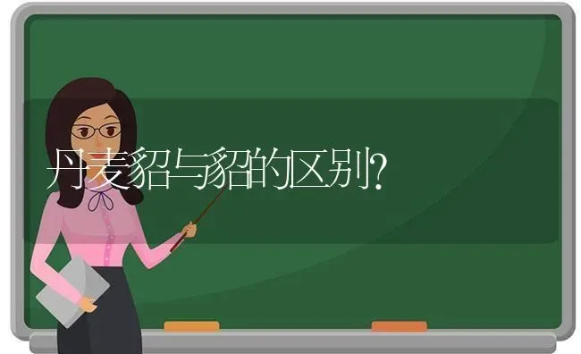 丹麦貂与貂的区别？ | 动物养殖问答