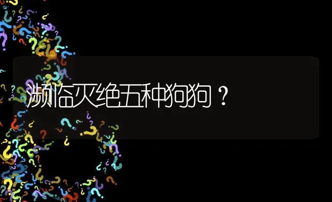 濒临灭绝五种狗狗？ | 动物养殖问答