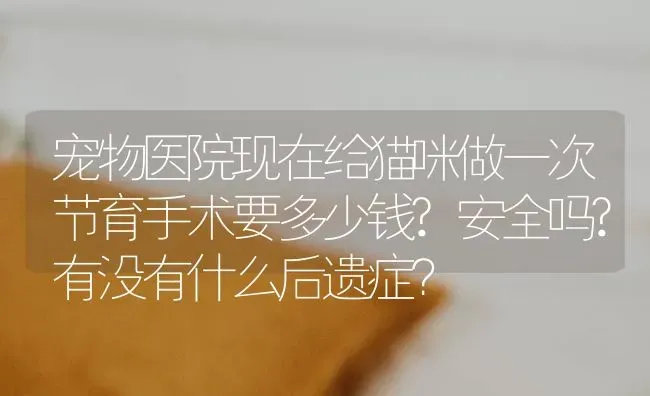 宠物医院现在给猫咪做一次节育手术要多少钱?安全吗?有没有什么后遗症？ | 动物养殖问答