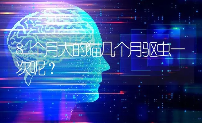 8个月大的猫几个月驱虫一次呢？ | 动物养殖问答