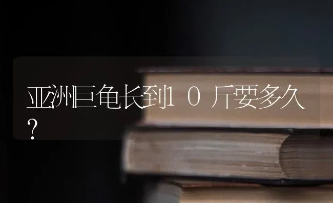 亚洲巨龟长到10斤要多久？ | 动物养殖问答