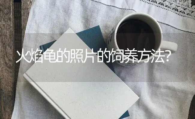 火焰龟的照片的饲养方法？ | 动物养殖问答