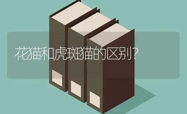 7斤的法斗吃多少干狗粮？ | 动物养殖问答