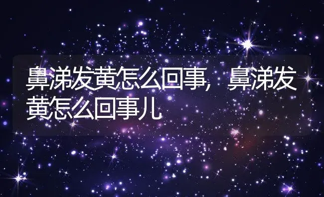 鼻涕发黄怎么回事,鼻涕发黄怎么回事儿 | 宠物百科知识