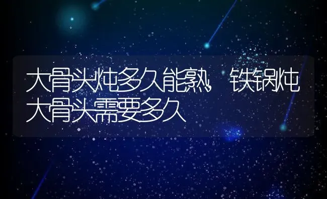 大骨头炖多久能熟,铁锅炖大骨头需要多久 | 宠物百科知识