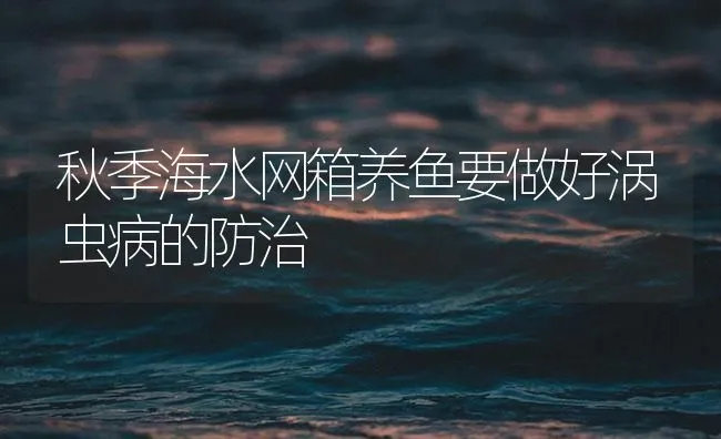 秋季海水网箱养鱼要做好涡虫病的防治 | 海水养殖技术