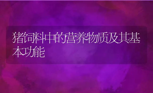 猪饲料中的营养物质及其基本功能 | 动物养殖学堂