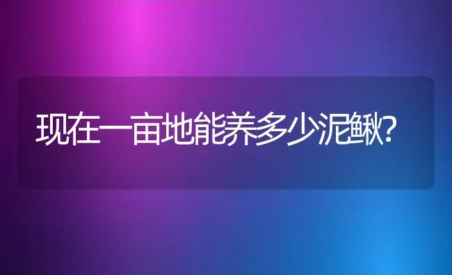 现在一亩地能养多少泥鳅？ | 动物养殖百科