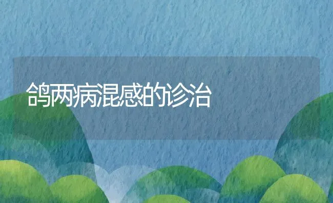 鸽两病混感的诊治 | 水产养殖知识