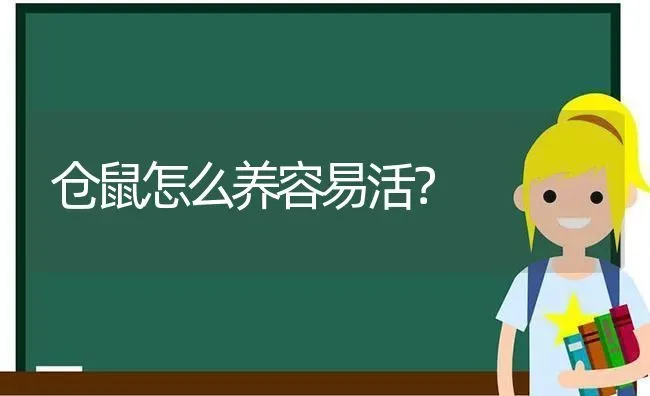 仓鼠怎么养容易活？ | 动物养殖问答