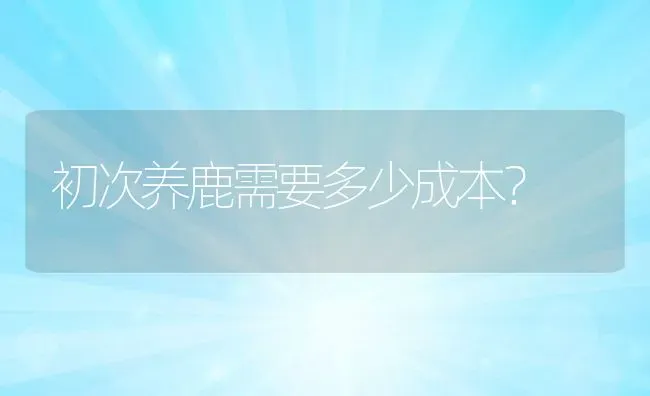 初次养鹿需要多少成本？ | 动物养殖百科