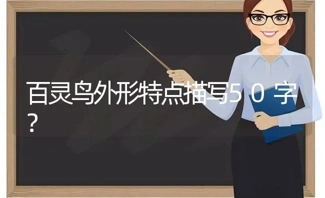 百灵鸟外形特点描写50字？ | 动物养殖问答