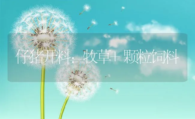 江苏淮安市金湖县藕塘高效套养龙虾经验分享 | 海水养殖技术