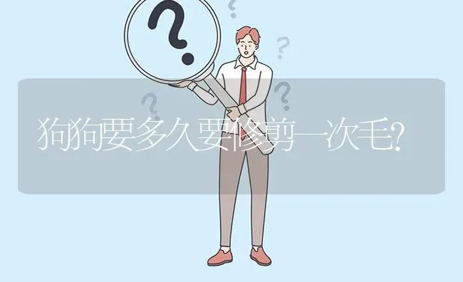 狗狗要多久要修剪一次毛？ | 动物养殖问答