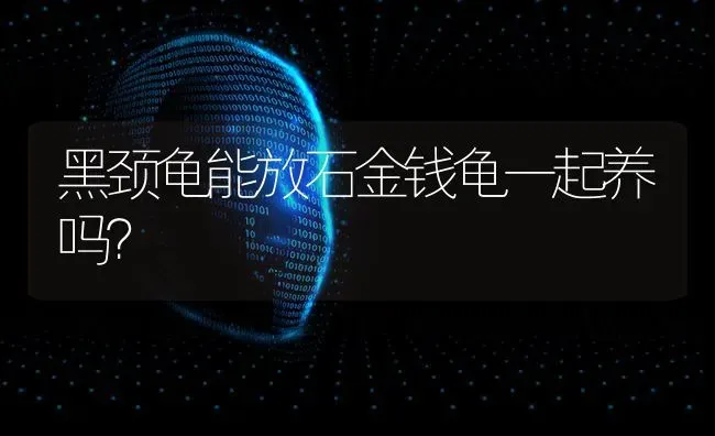 黑颈龟能放石金钱龟一起养吗？ | 动物养殖问答