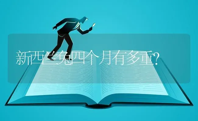 新西兰兔四个月有多重？ | 动物养殖问答