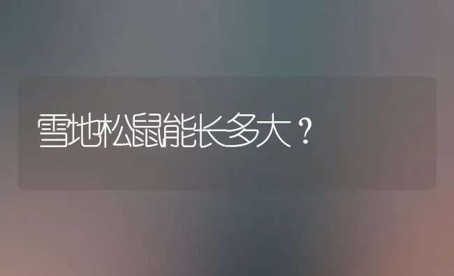 雪地松鼠能长多大？ | 动物养殖问答