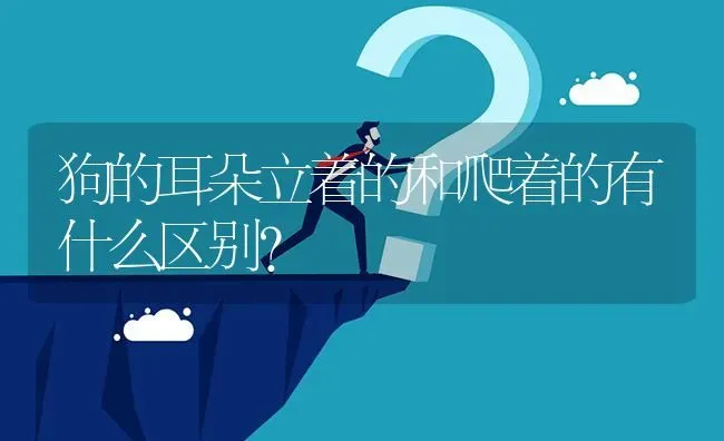 狗的耳朵立着的和爬着的有什么区别？ | 动物养殖问答