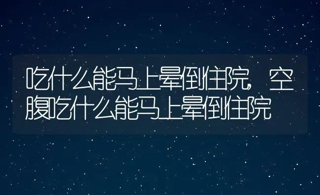 吃什么能马上晕倒住院,空腹吃什么能马上晕倒住院 | 宠物百科知识