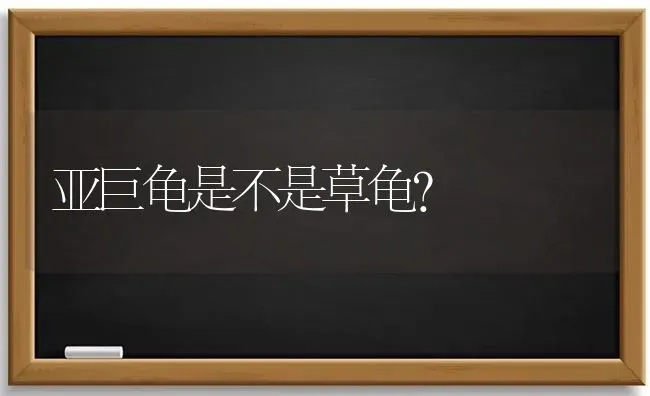 亚巨龟是不是草龟？ | 动物养殖问答