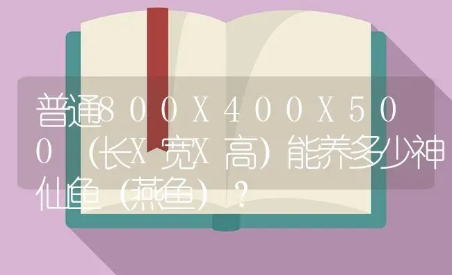 普通800X400X500（长X宽X高）能养多少神仙鱼（燕鱼）？ | 鱼类宠物饲养