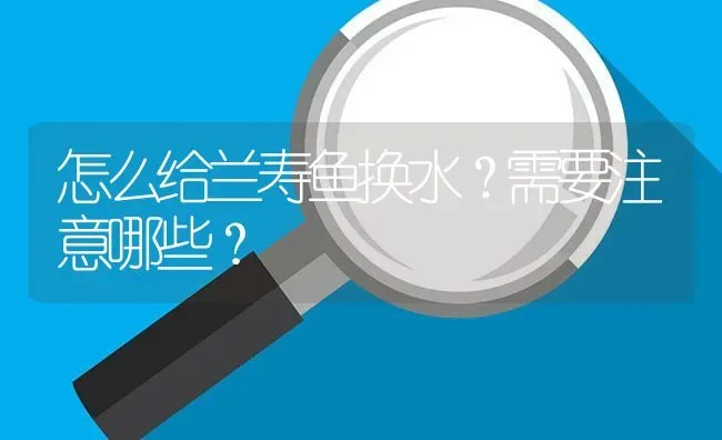 怎么给兰寿鱼换水？需要注意哪些？ | 鱼类宠物饲养