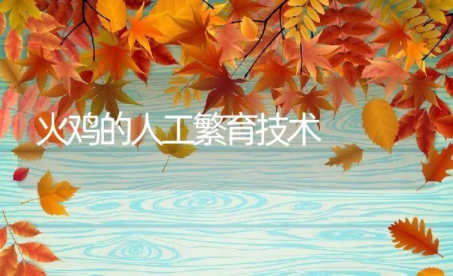 火鸡的人工繁育技术 | 动物养殖百科