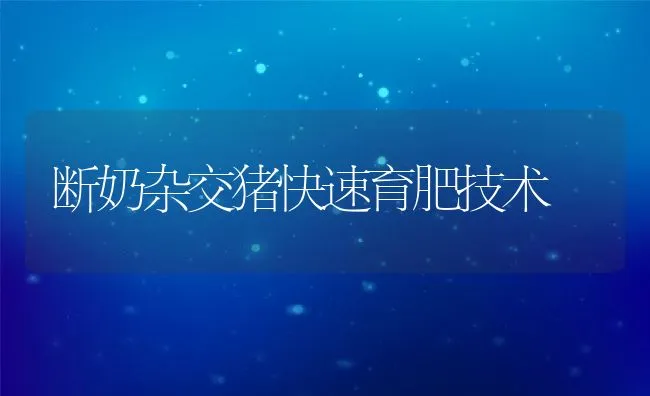 断奶杂交猪快速育肥技术 | 动物养殖饲料