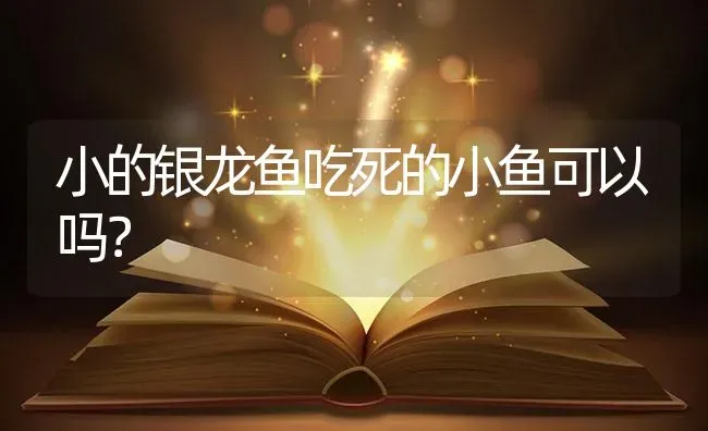 小的银龙鱼吃死的小鱼可以吗？ | 鱼类宠物饲养