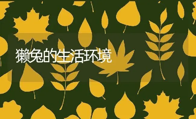 獭兔的生活环境 | 动物养殖教程