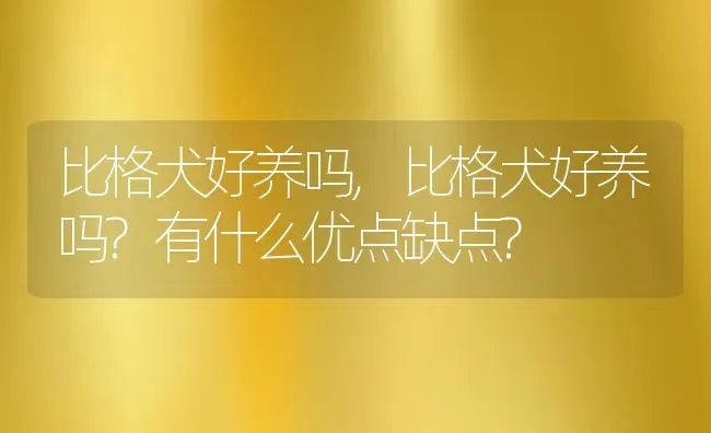 比格犬好养吗,比格犬好养吗?有什么优点缺点? | 宠物百科知识